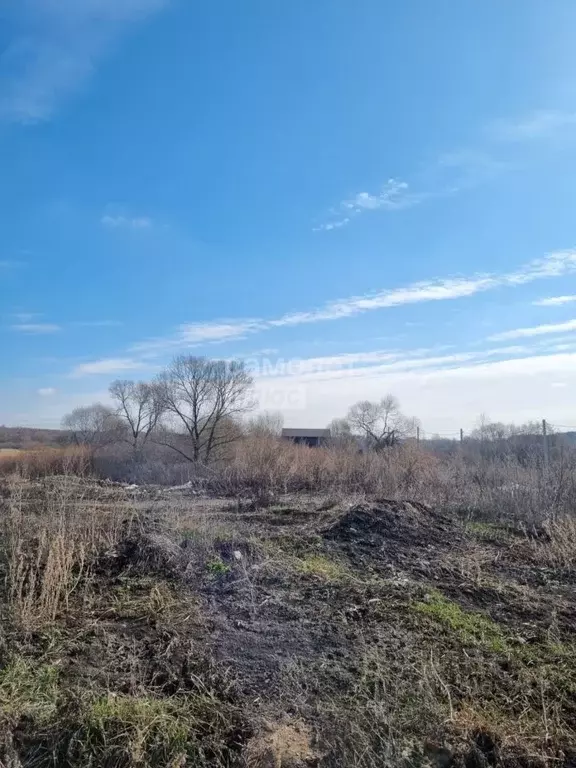 Участок в Воронежская область, Новоусманский район, с. Бабяково ... - Фото 1
