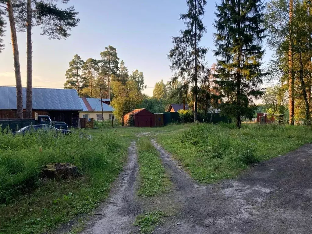 3-к кв. нижегородская область, арзамас городской округ, с. чернуха ул. . - Фото 0