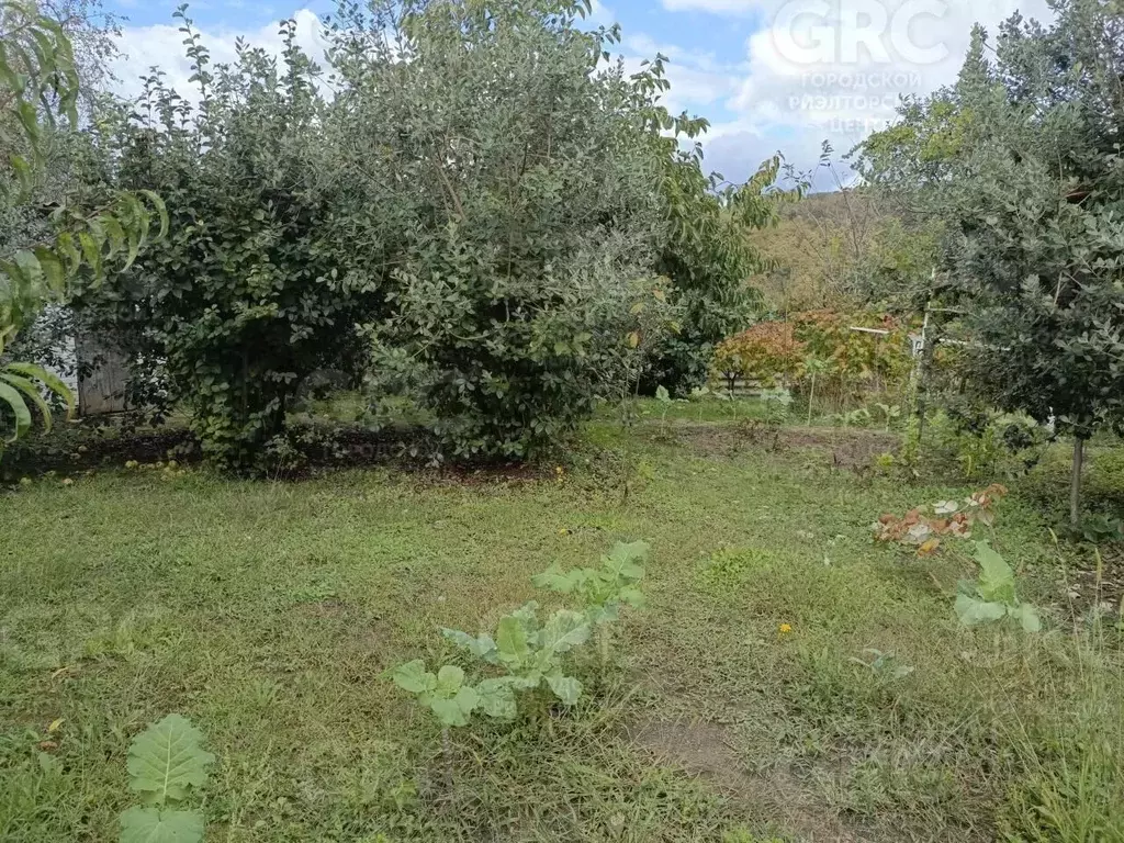 Участок в Краснодарский край, Сочи городской округ, с. Варваровка пер. ... - Фото 1