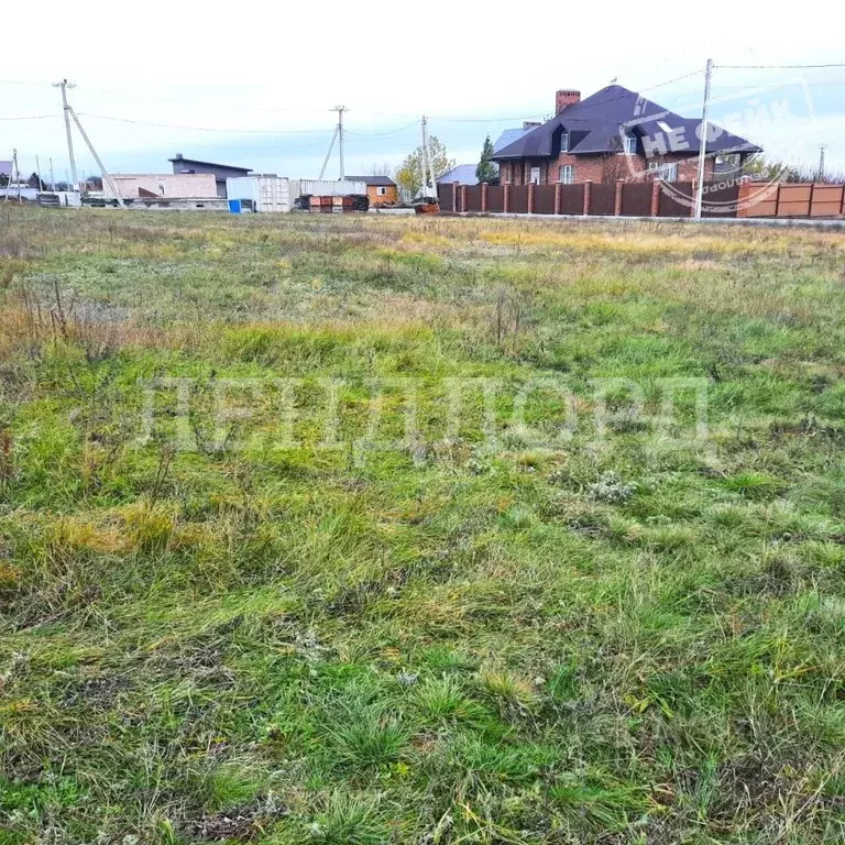 Участок в Ростовская область, Мясниковский район, Недвиговское с/пос, ... - Фото 1