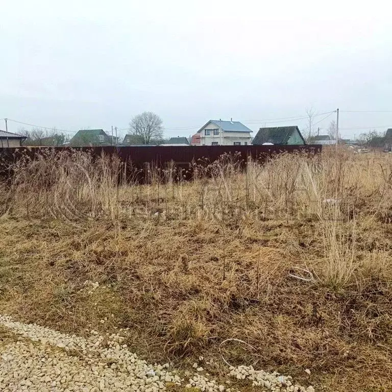 Участок в Ленинградская область, Кингисеппский район, Большелуцкое ... - Фото 1