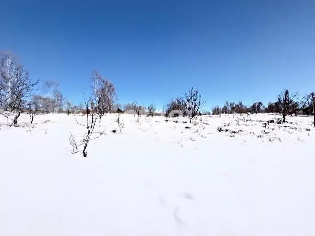 Участок в Смоленская область, Демидовский муниципальный округ, д. ... - Фото 1