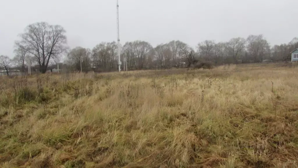 Участок в Московская область, Озеры Коломна городской округ,  (10.06 ... - Фото 1