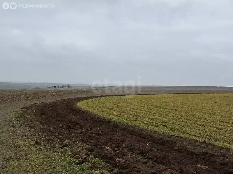 Участок в Черноморский район, село Новосельское (528 м) - Фото 2