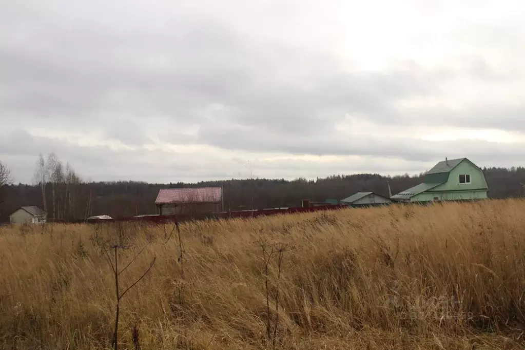 Участок в Московская область, Шаховская муниципальный округ, д. ... - Фото 1