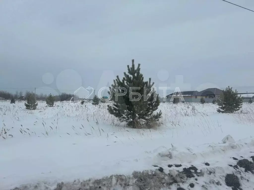 Участок 6,3 сот. (ИЖС) - Фото 0