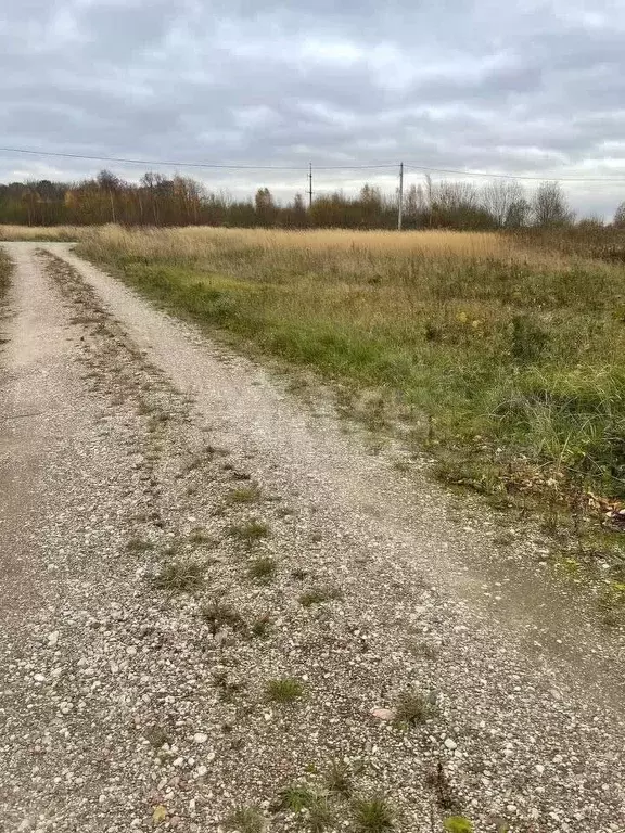 Участок 10 га (СНТ, ДНП) - Фото 0