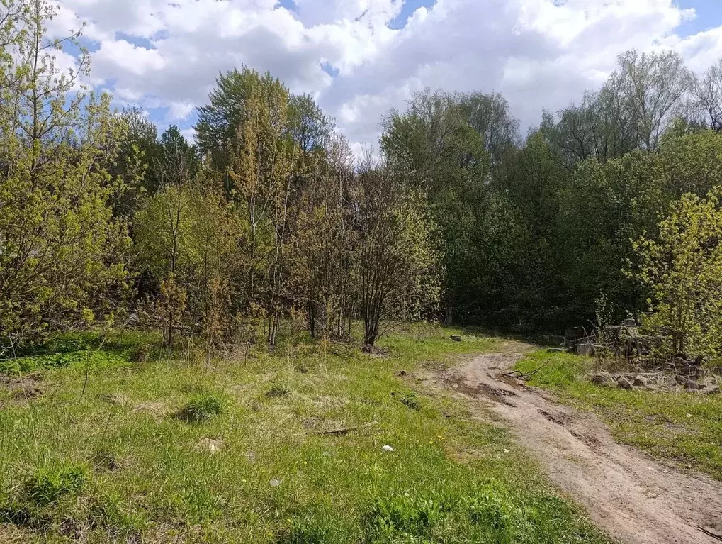 Участок в Московская область, Пушкинский городской округ, с. Левково  ... - Фото 0