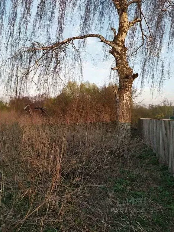 Участок в Рязанская область, Захаровский район, Добро-Пчельское с/пос, ... - Фото 0