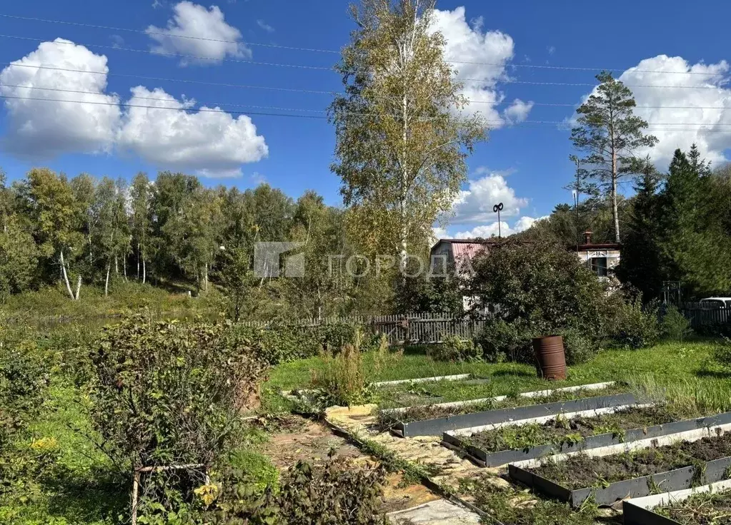 Участок в Новосибирская область, Новосибирский район, Барышевский ... - Фото 2