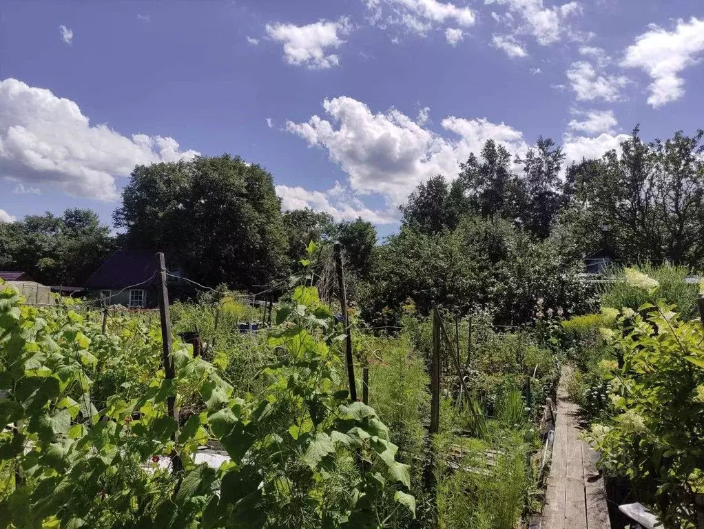 Дом в Хабаровский край, Хабаровский район, Мебельщик СТ  (25 м) - Фото 1