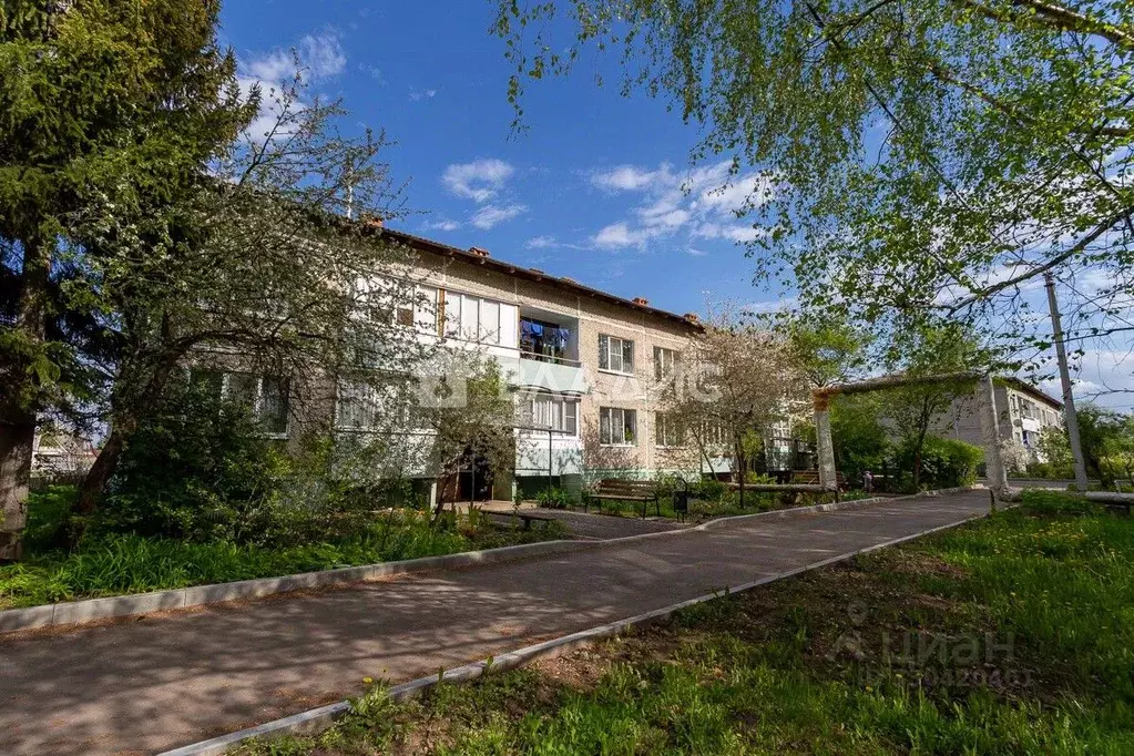 3-к кв. Владимирская область, Суздаль Михайловская ул., 82А (72.0 м) - Фото 2