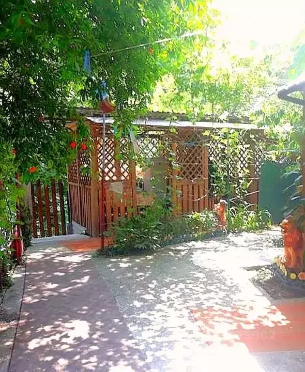 Дом в Краснодарский край, Геленджик городской округ, Бетта хут. ул. ... - Фото 1