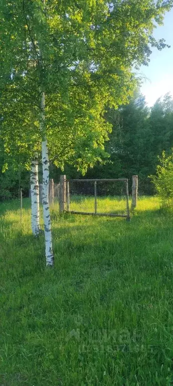 Участок в Нижегородская область, Городецкий муниципальный округ, д. ... - Фото 0