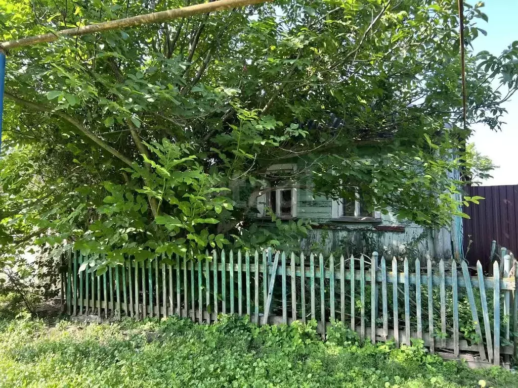 Дом в Белгородская область, Яковлевский муниципальный округ, с. Вислое ... - Фото 0