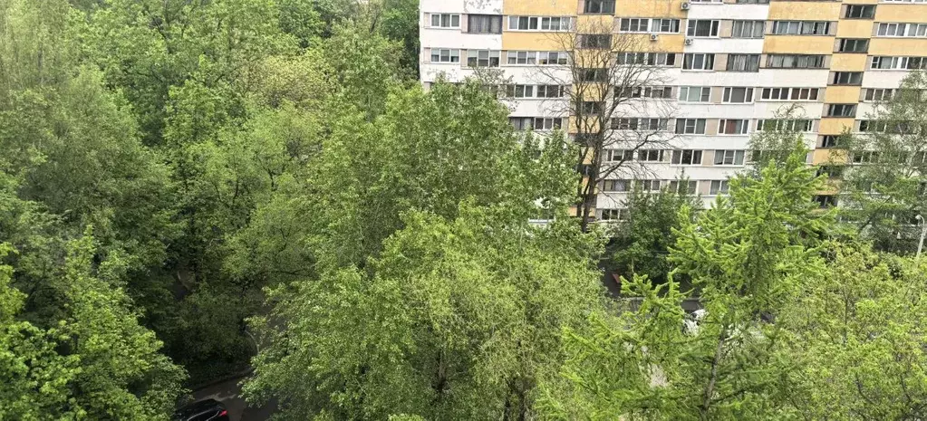 Комната Санкт-Петербург ул. Стойкости, 29К1 (12.0 м) - Фото 0