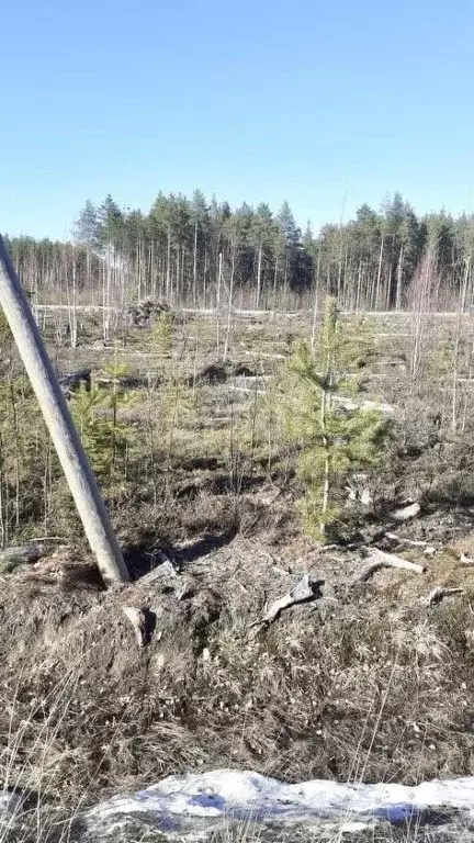 участок в коми, сыктывкар городской округ, краснозатонский пгт 3-я . - Фото 1