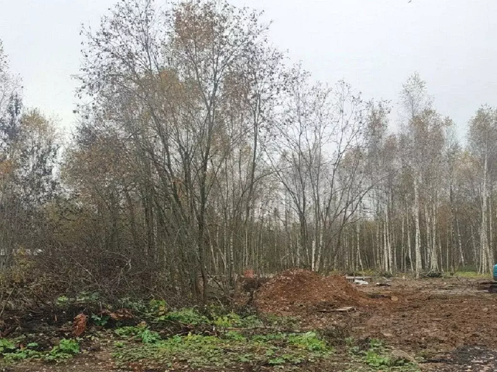 Участок в Московская область, Мытищи городской округ, пос. Менжинец  ... - Фото 2