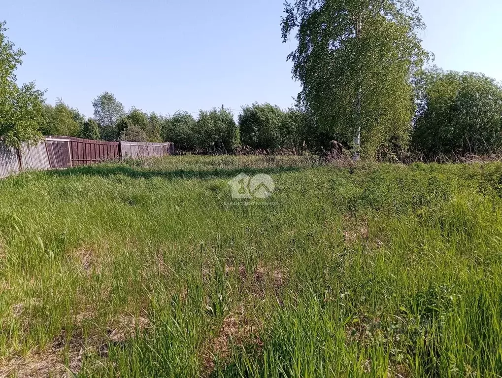 Участок в Новосибирская область, Колыванский район, Транспортник СНТ ... - Фото 1