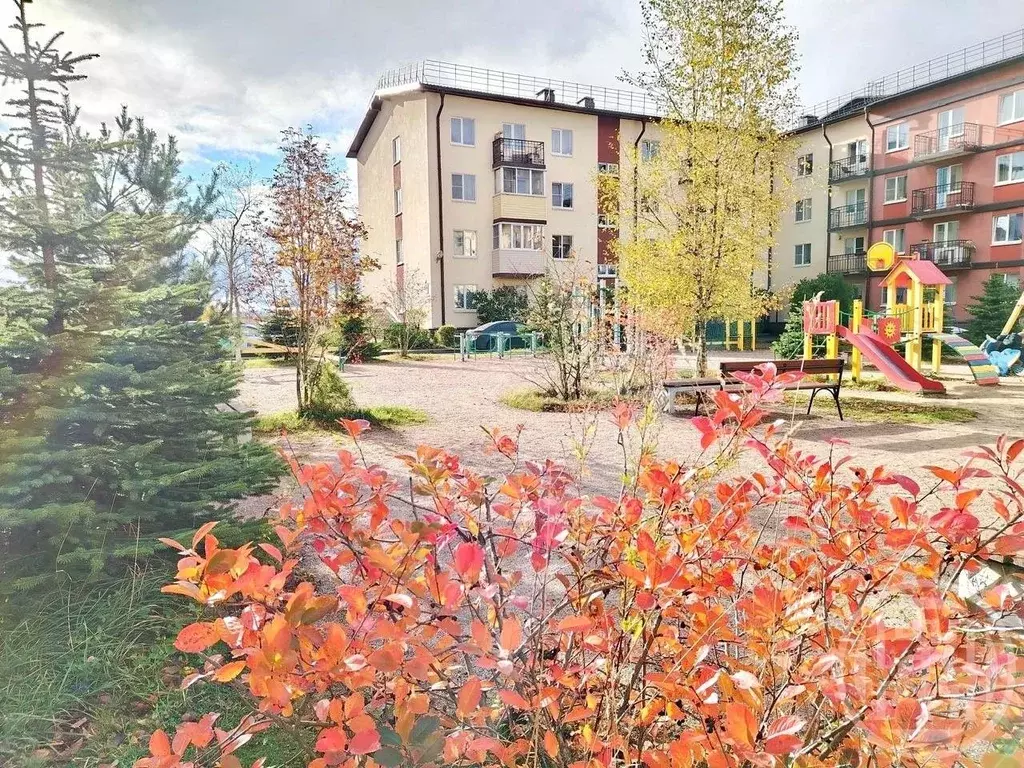 2-к кв. Ленинградская область, Всеволожский район, Щегловское с/пос, ... - Фото 2