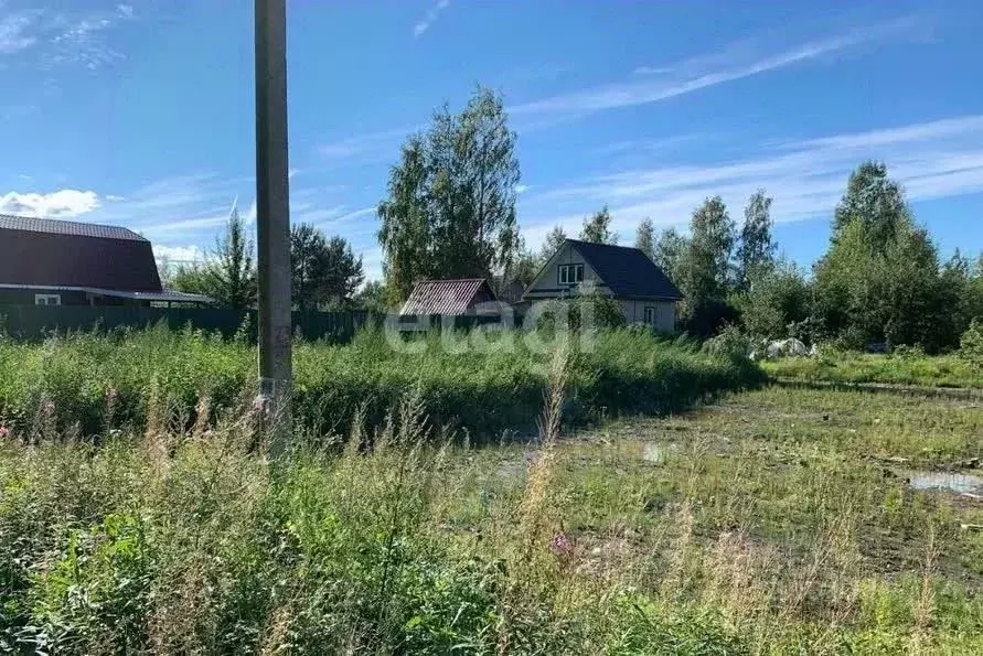 Участок в Свердловская область, Екатеринбург Медный СПК, 39 (6.5 сот.) - Фото 2