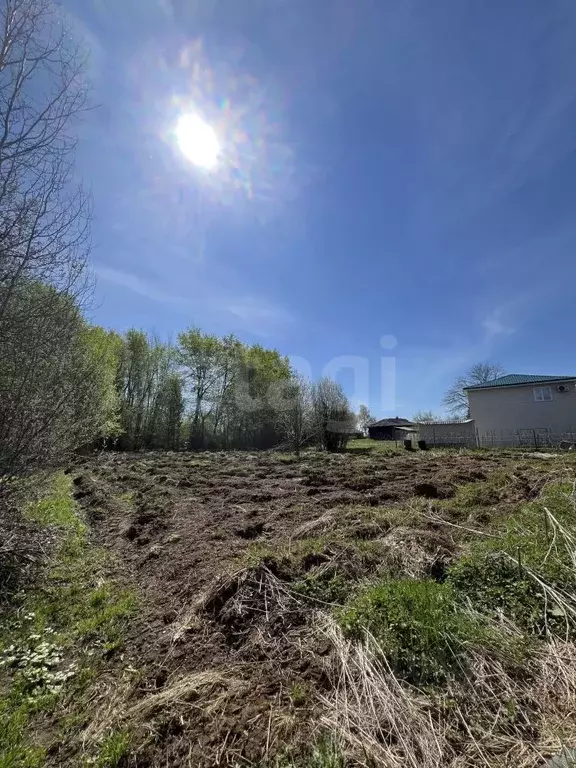Участок в Кировская область, Киров городской округ, д. Оверинцы  (10.1 ... - Фото 1