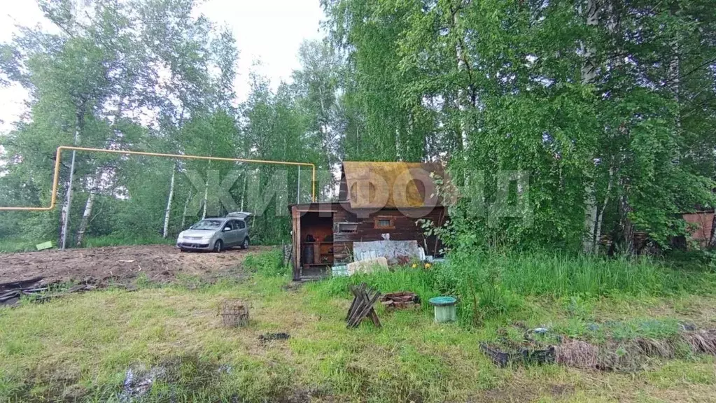 Участок в Новосибирская область, Новосибирск Поляна СНТ,  (11.81 сот.) - Фото 2