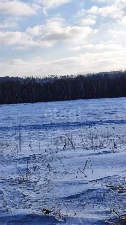 Участок в Свердловская область, Екатеринбург Кургановский дп,  (176.4 ... - Фото 0