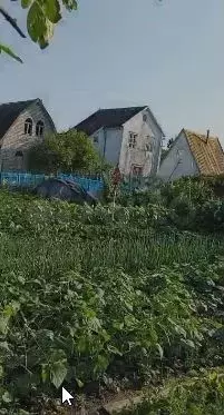 Участок 6,3 сот. (СНТ, ДНП) - Фото 0