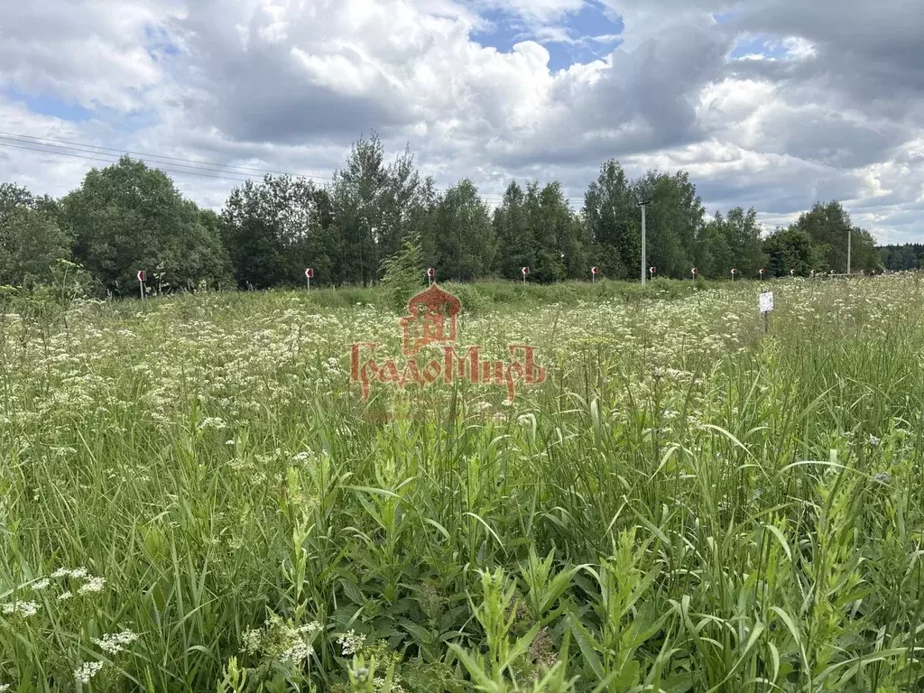 Участок в Московская область, Сергиево-Посадский городской округ, д. ... - Фото 0