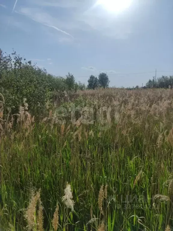 Участок в Тюменская область, Тюмень Россиянка садовое товарищество, ... - Фото 1