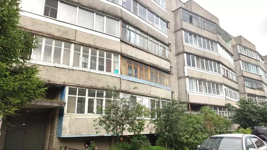 2-к кв. Нижегородская область, Бор ул. Чугунова, 15 (54.5 м) - Фото 1