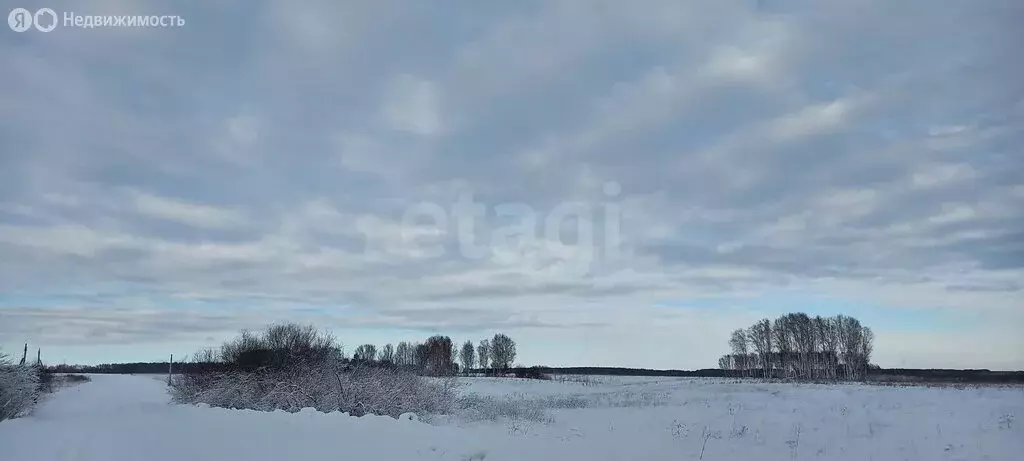 Участок в Мошковский район, село Томилово (99.98 м) - Фото 2