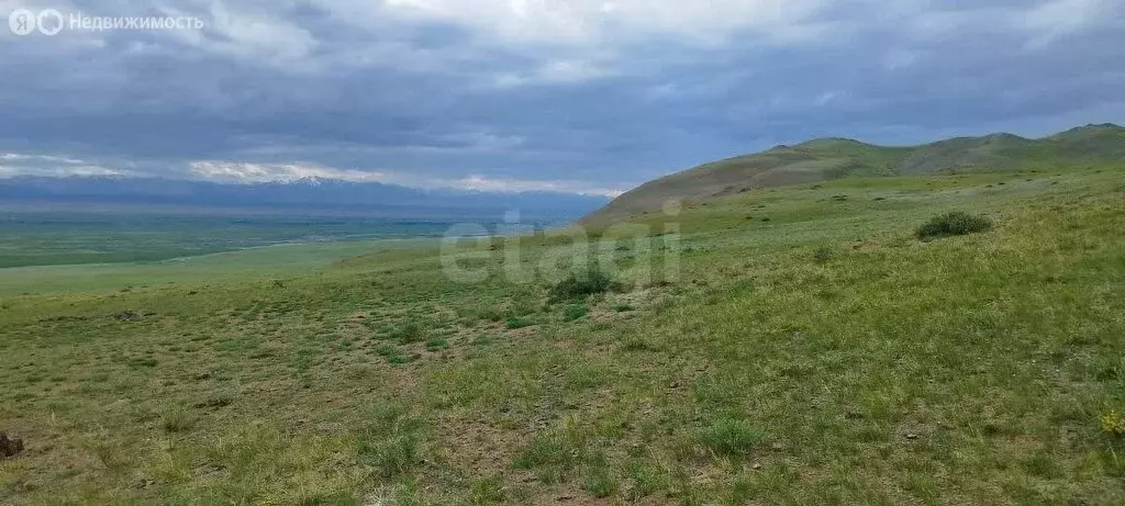 Участок в Республика Алтай, село Кош-Агач (28 м) - Фото 2