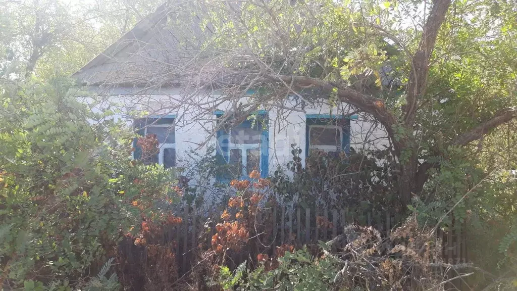 Дом в Волгоградская область, Ленинский район, с. Колобовка ул. Ленина, ... - Фото 0