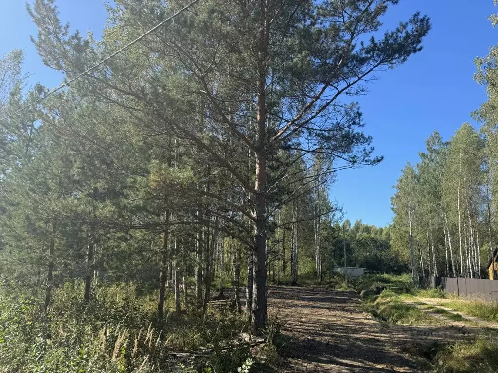 Участок в Московская область, Талдомский городской округ, д. Гусенки ... - Фото 0