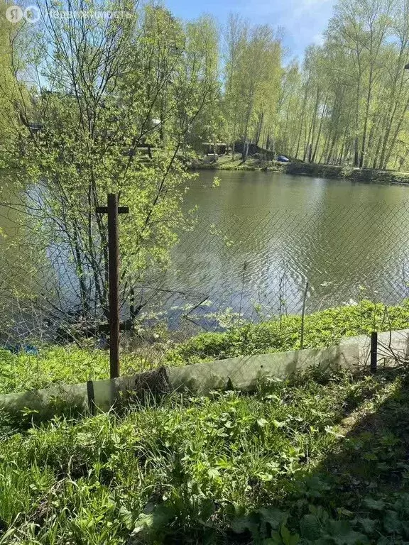 Участок в Раздольненский сельсовет, садоводческое товарищество Медик ... - Фото 1