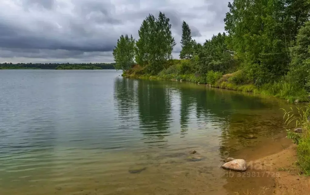 Участок в Ленинградская область, Кировский район, Мгинское городское ... - Фото 1