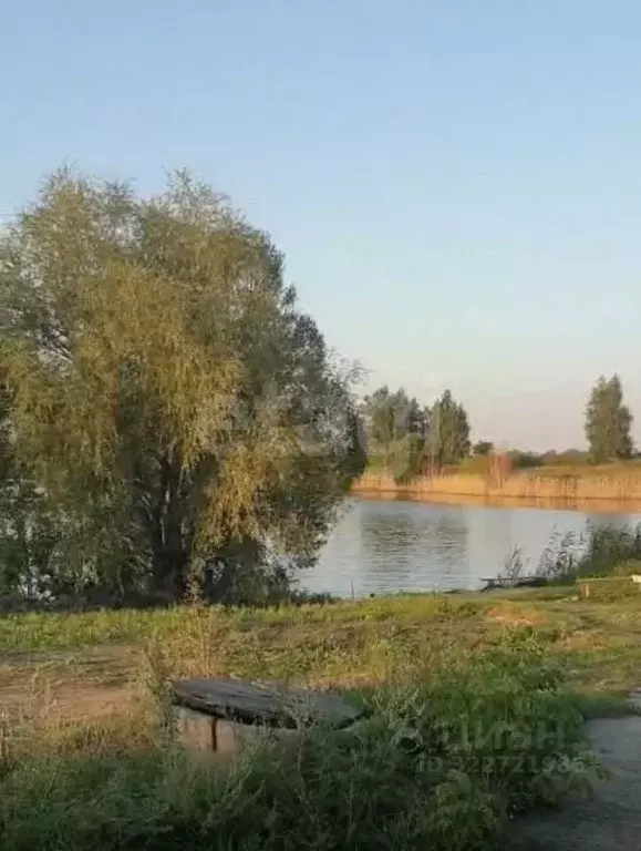 Участок в Тамбовская область, Тамбовский муниципальный округ, Садовые ... - Фото 1