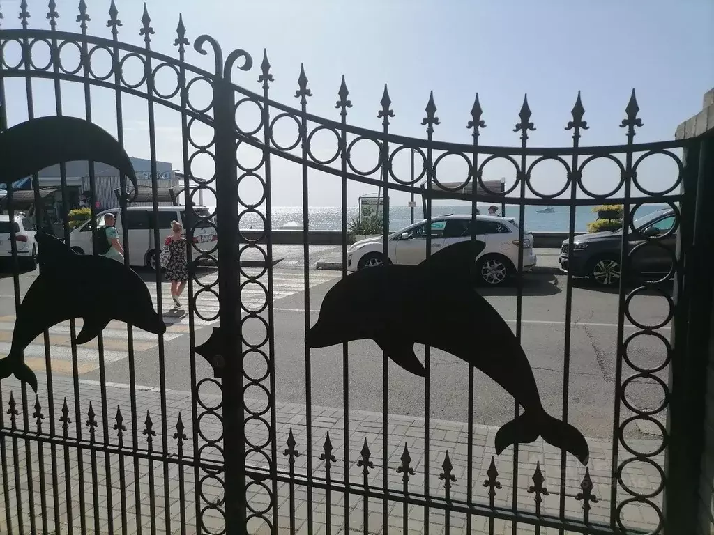 Дом в Краснодарский край, Сочи ул. Просвещения, 98 (42 м) - Фото 2