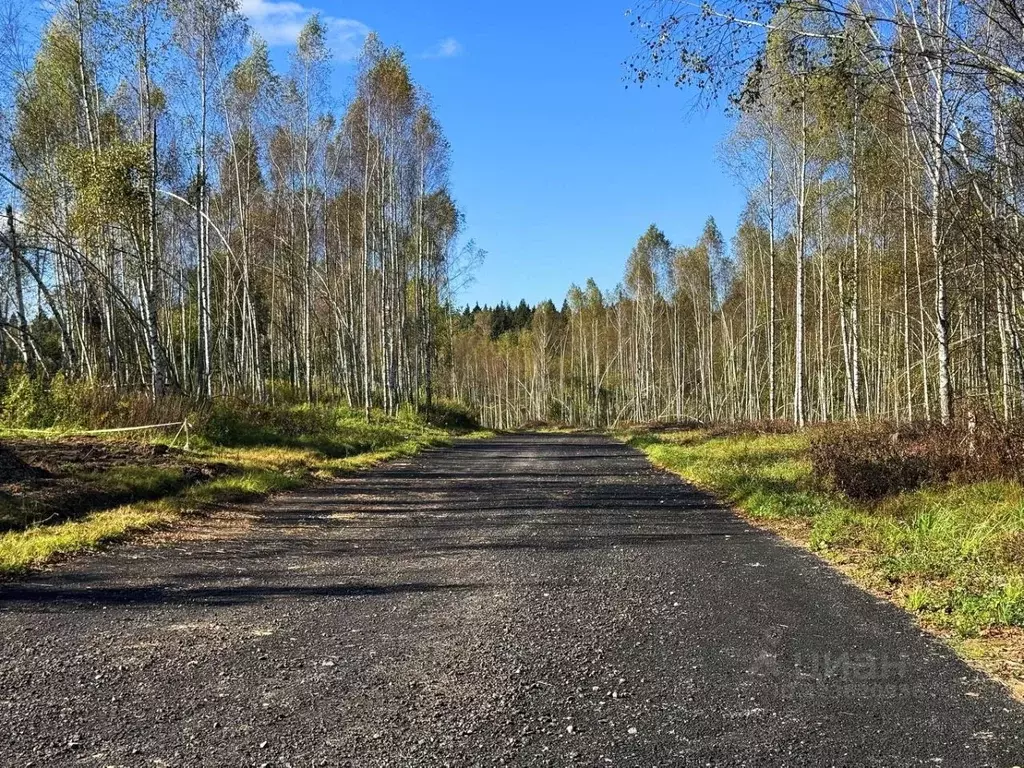 Участок в Московская область, Дмитровский муниципальный округ, Сбоево ... - Фото 1