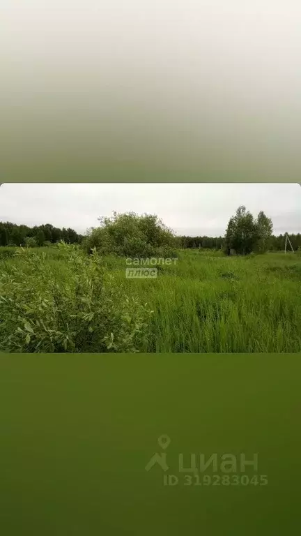 Участок в Тюменская область, Нижнетавдинский район, Геофизик 2 СНТ  ... - Фото 0