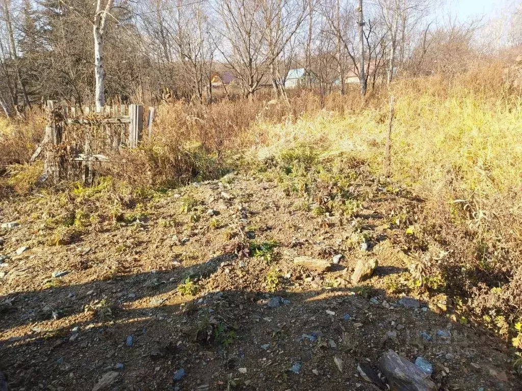 Участок в Сахалинская область, Южно-Сахалинск Малинка-2 СНТ, 52 (7.11 ... - Фото 1