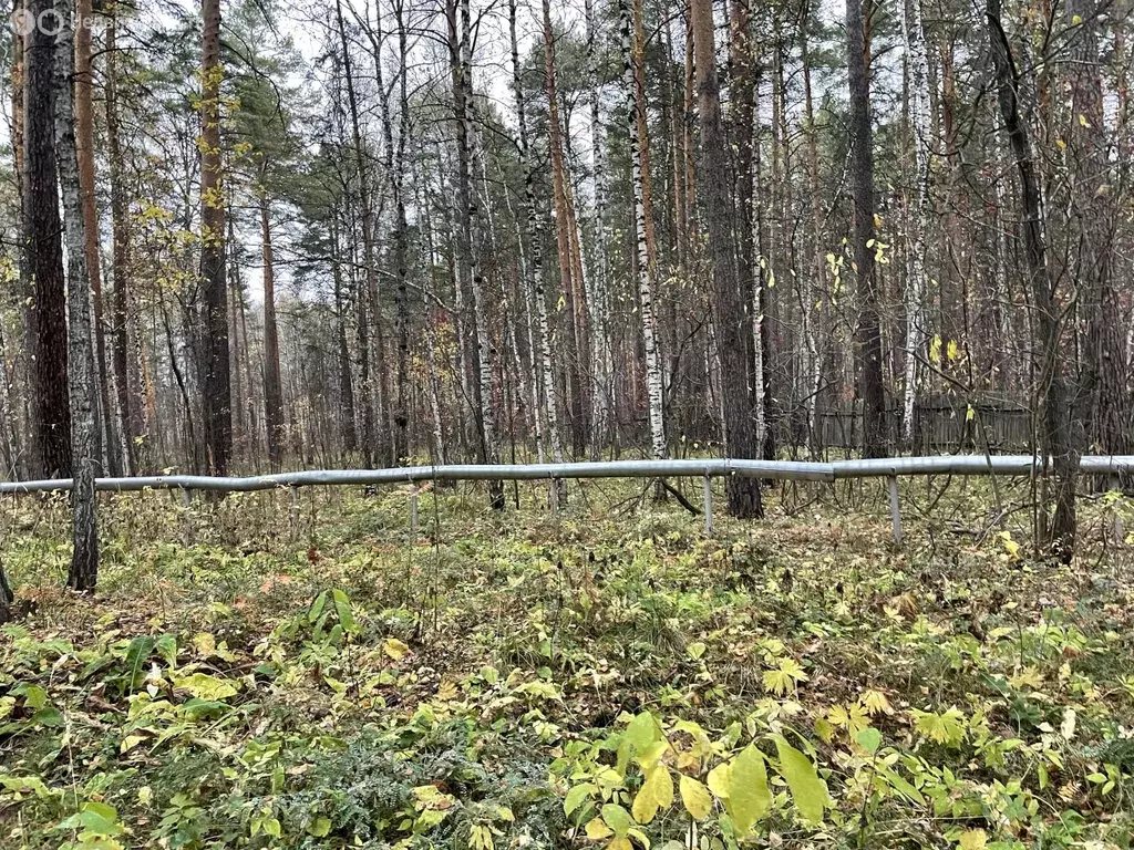 Участок в Свердловская область, городской округ Верхняя Пышма (234 м) - Фото 1