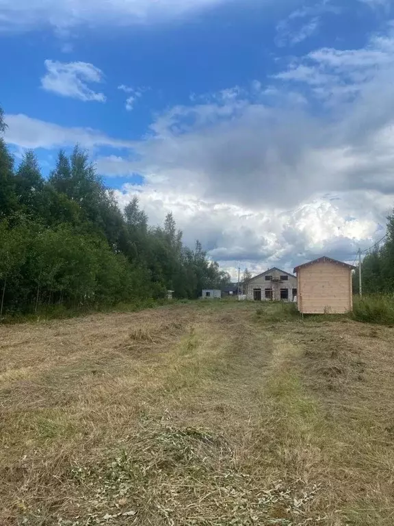 Участок в Ленинградская область, Выборгский район, Рощинское городское ... - Фото 1