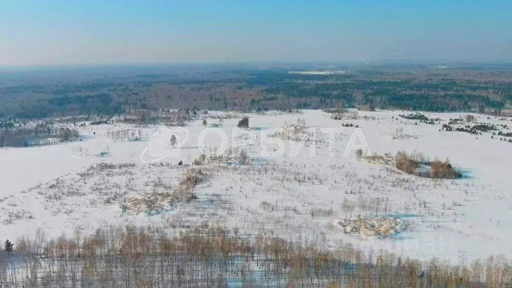 Участок в Тюменская область, Нижнетавдинский район, пос. Кунчур  (8.0 ... - Фото 1