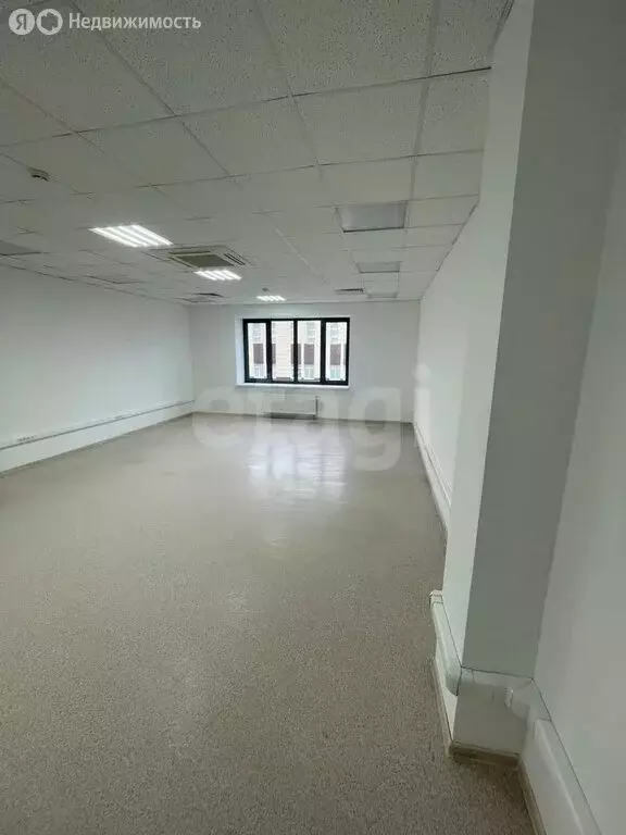 Офис (51.5 м) - Фото 1