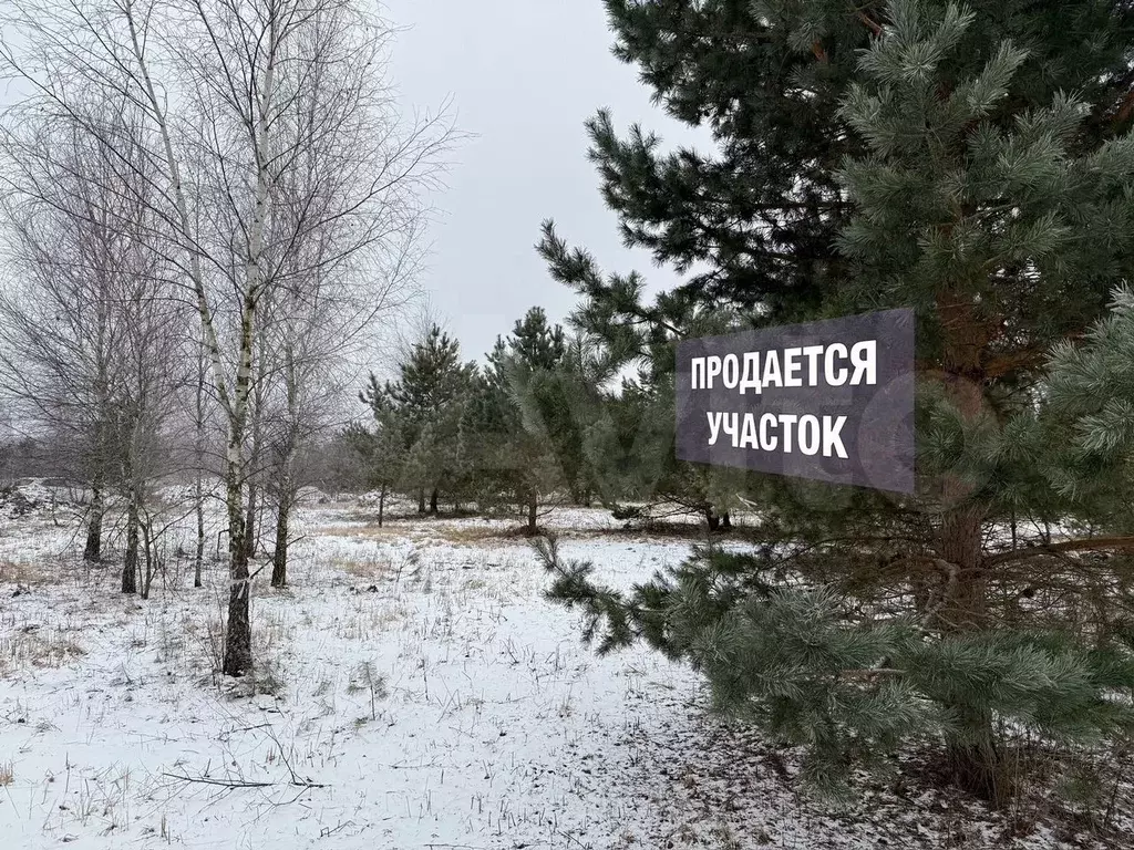Участок 15 сот. (ИЖС) - Фото 0