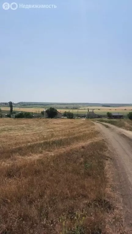 Участок в Чистенское сельское поселение, село Трудолюбово (875 м) - Фото 0