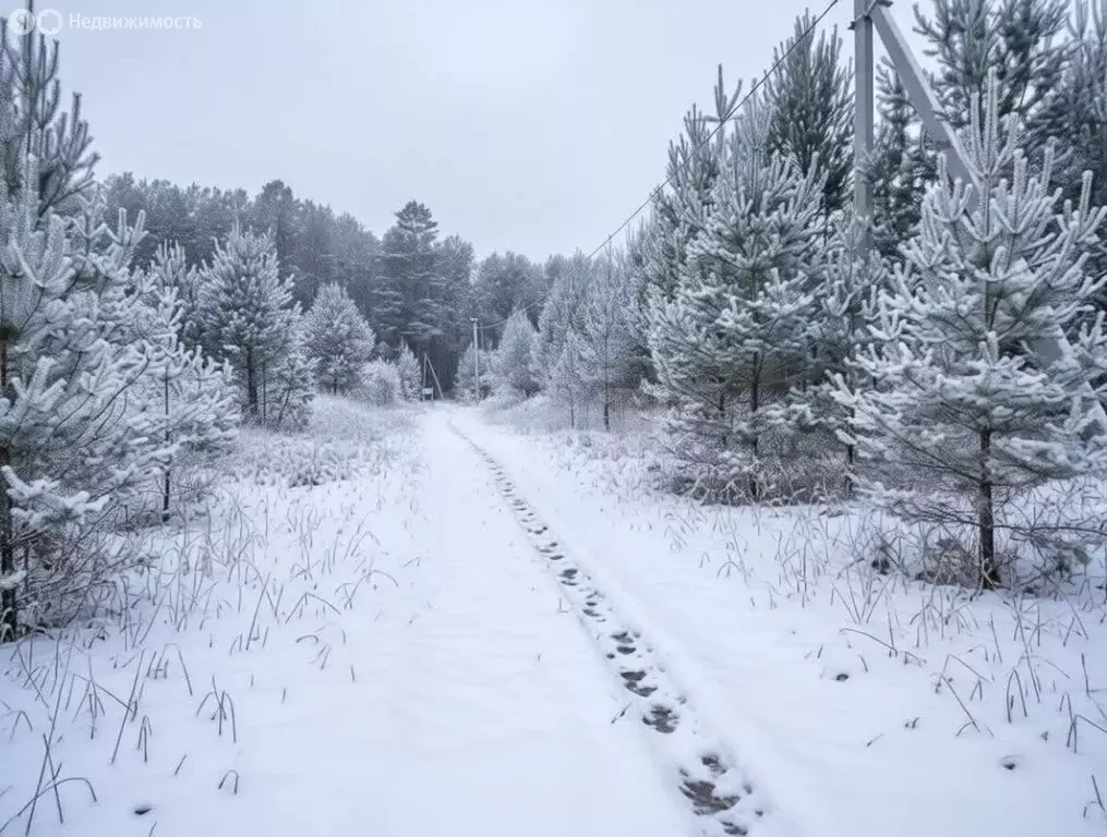 Участок в Тюменский муниципальный округ, деревня Криводанова, ... - Фото 2
